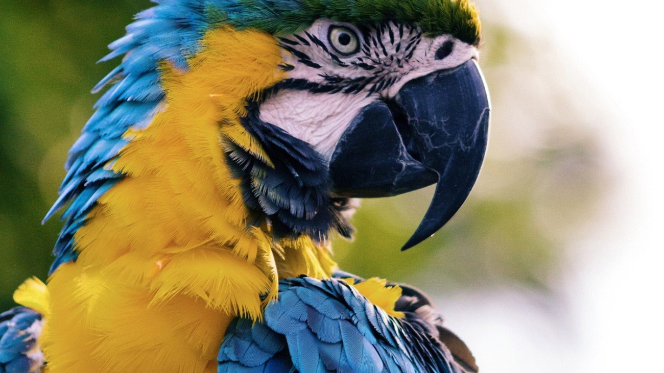 demo-attachment-531-andrew-pons-57133-unsplash-1