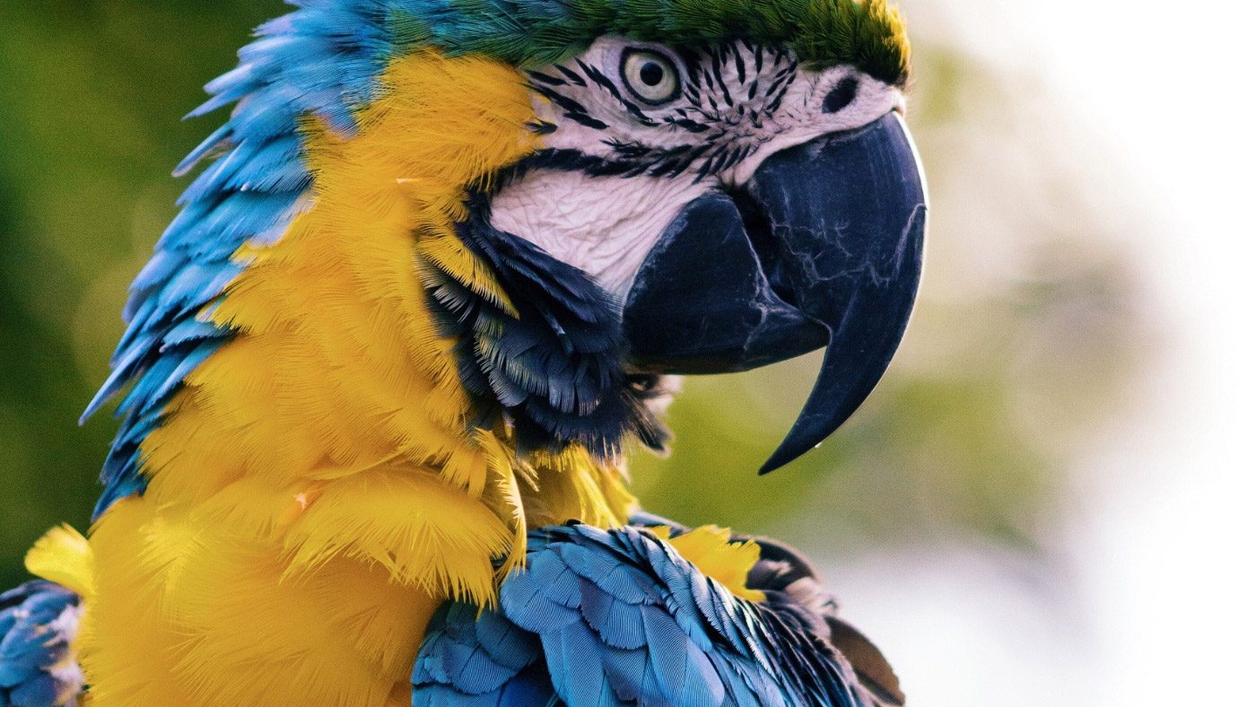 demo-attachment-531-andrew-pons-57133-unsplash-1