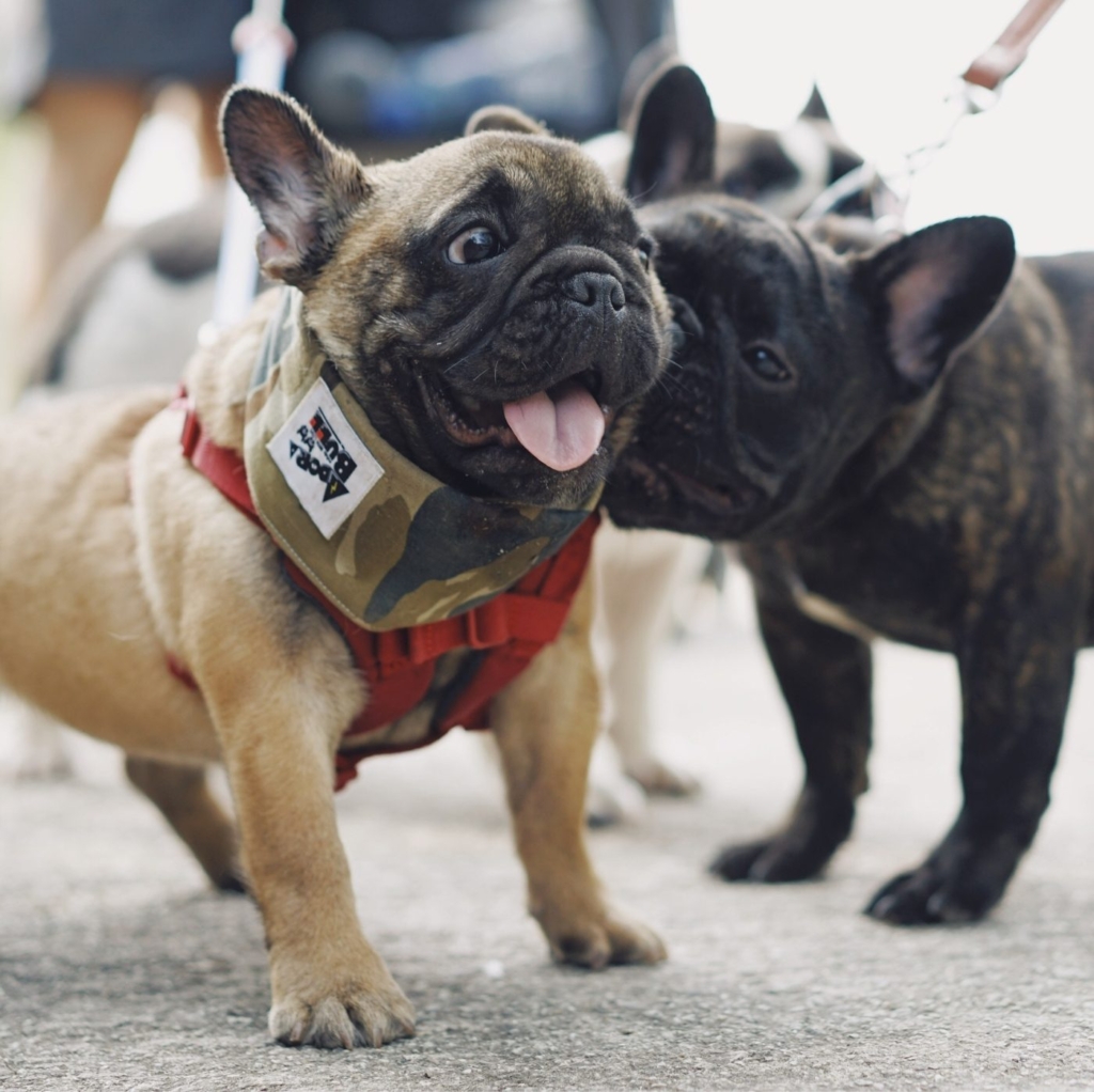 demo-attachment-529-for-chen-654769-unsplash-1-1